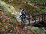 gal/2010/10 - Autunno in Casentino/_thb_ponticino1-01.jpg